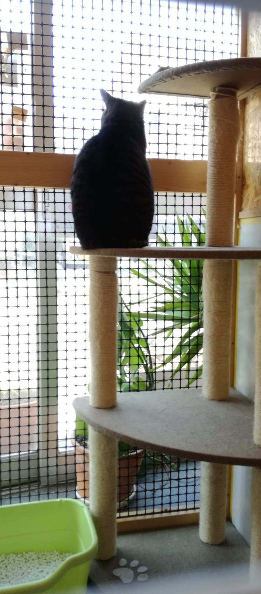 成瀬駅北口のペットホテル